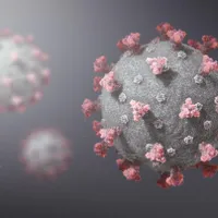 A apărut în Franța o variantă de coronavirus /foto: brown university