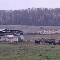 Copil de 13 ani vândut de părinți unui cioban. Are doar 3 clase, pentru că nu a mai mers la școală - Foto: Politia Romana