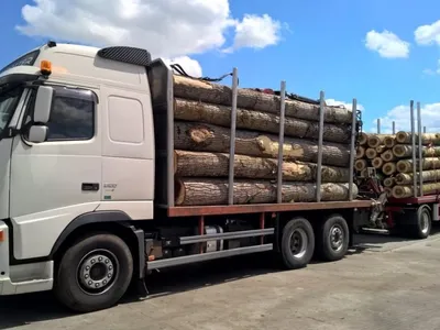 Camion - Foto: ziaruldeiasi