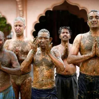 „Terapie” anti-COVID cu bălegar și urină de vacă, în India. Medicii avertizează că e periculos. / Foto: reuters.com