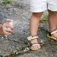 Țânțarii, tot mai rezistenți la insecticide - Foto: Profimedia Images/ Imagine cu caracter ilustrativ