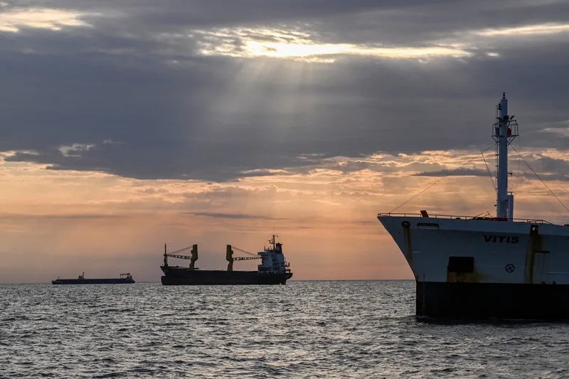 Nave ancorate în Marea Neagră așteaptă să intre pe canalul Sulina - Foto: Profimedia Images