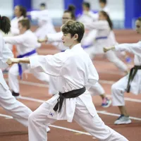 Copiii echipei de karate de la CSO Voluntari FOTO: INQUAM/George Călin