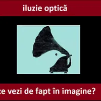 Iluzie optică Foto: Newsweek România/TikTok