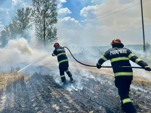 Incendii de vegetație de amploare în România. Zeci de hectare mistuite de flăcări în doar 24 de ore - Foto: Faceboog/IGSU
