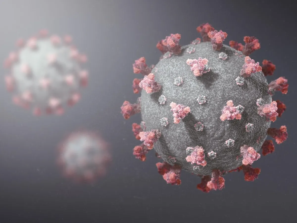 A apărut în Franța o variantă de coronavirus /foto: brown university