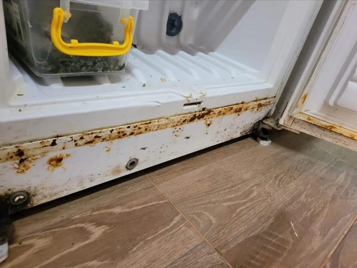 VIDEO Mizerie și produse expirate de ani de zile, descoperite în Delta Dunării și pe litoral / news.ro