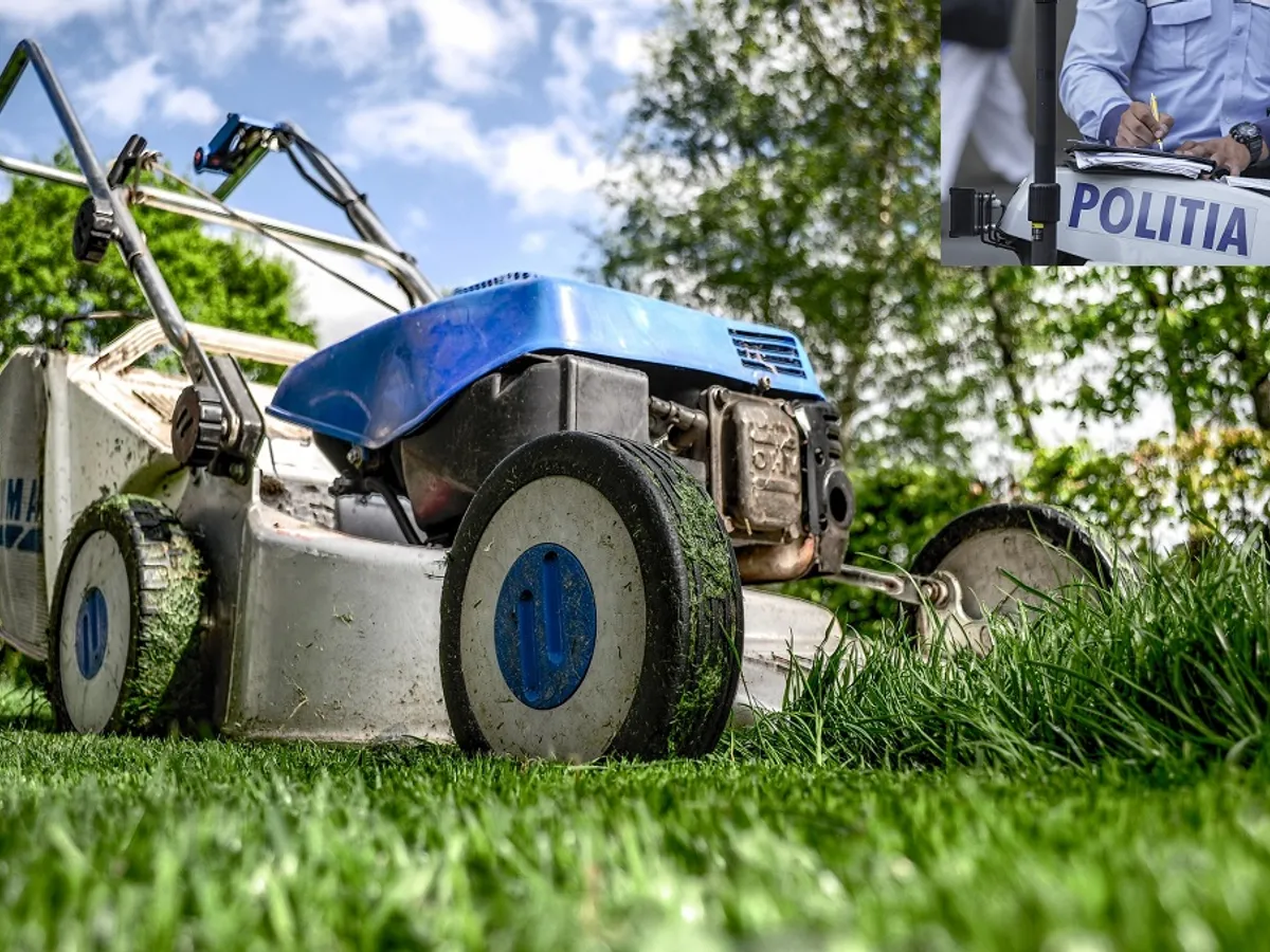 Amendă pentru activități în propria curte FOTO: Colaj INQUAM PHOTOS/Octav Ganea/Pixabay.com