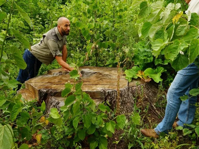 Un europarlamentar atenționează: „România riscă o amendă de 100.000 de euro pe zi”. Care e motivul/FOTO: ziaruldeiasi.ro