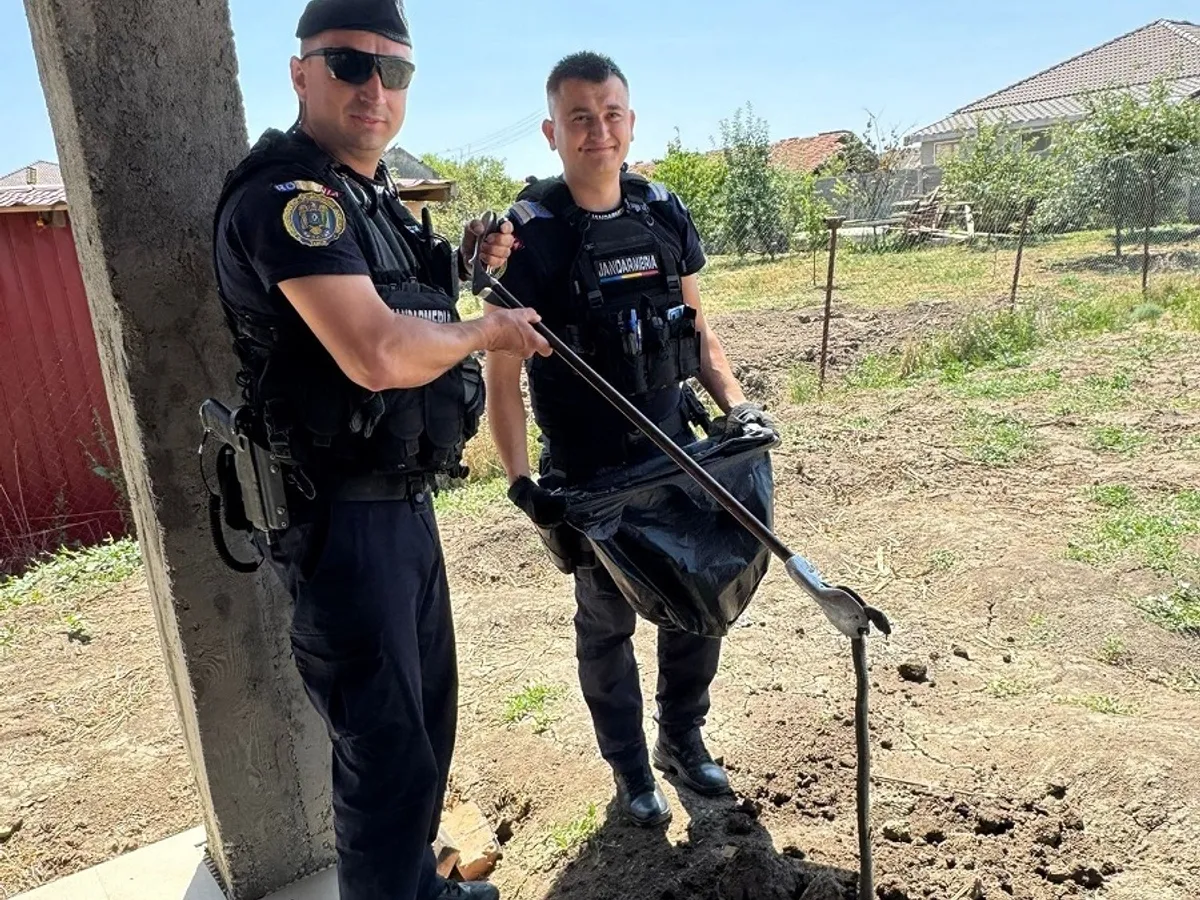 Jandarmii, chemați pentru prinderea unui șarpe