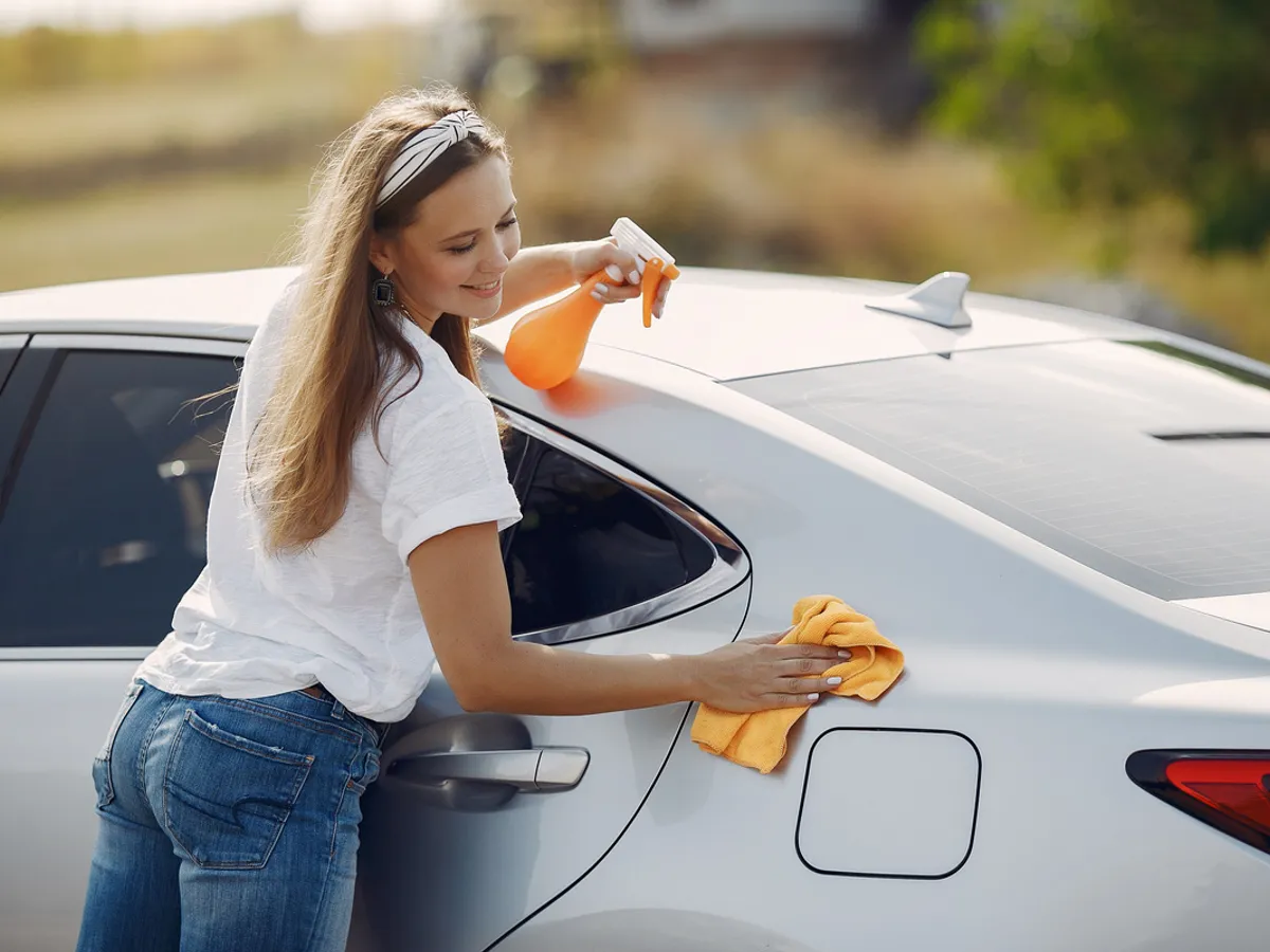 Când și cum cureți găinațul de păsări ca să nu facă „gaură” în vopsea? - Foto: Freepik (imagine cu rol ilustrativ)