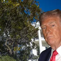 Trump taie celebra "Jackson Magnolia" de la Casa Albă, plantată în 1829 de un fost președinte al SUA - Foto: Profimedia images