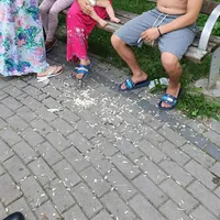 Ofensiva polițiilor locale din țară împotriva celor care sparg semințe în parcuri. Foto Poliția Locală Bacău