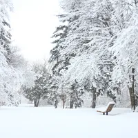 VREMEA Astăzi vine prăpădul alb. Sunt anunțate ninsori, lapoviță și ger în anumite orașe din țară Foto: Pexels (fotografie cu caracter ilustrativ)