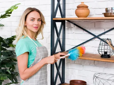 Cum să ții păianjenii departe de casă. Trucuri simple și fără chimicale. Costă câțiva lei - Foto: Freepik (Imagine cu rol ilustrativ)
