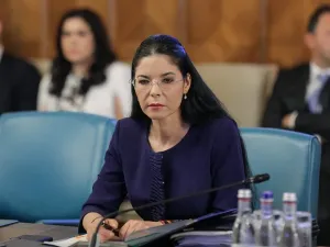 Fost ministru al Justiției, despre numirea Liei Savonea șefă la ÎCCJ: Era favorita secției „Nufărul” - Foto: Facebook/ Ana Birchall