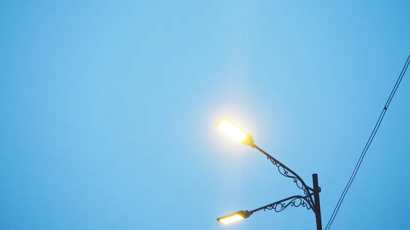 Primarul unei comune a fost prins că fura curent pentru iluminatul grădinii. Cine l-a dat de gol? Foto: Freepik (fotografie cu caracter ilustrativ)