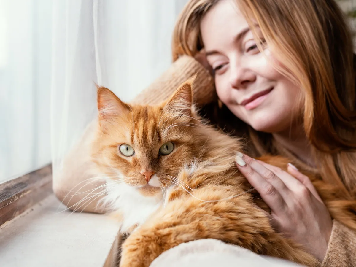 De ce își urmează pisicile stăpânii peste tot? Experții dezvăluie motive neașteptate