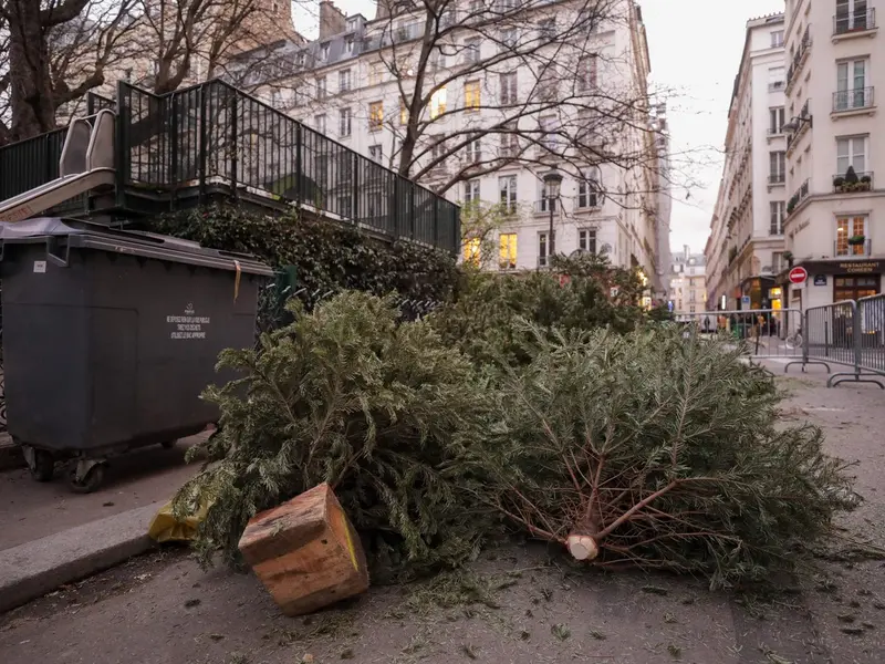 Cum scapi de bradul de Crăciun uscat? În București, poate fi și gratis, dacă respecți un termen - Foto: Profimedia Images - Imagine cu rol ilustrativ