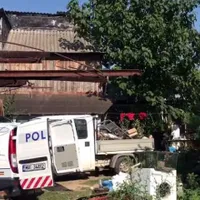 Imagine surprinsă în curtea lui Gheorghe Dincă/Foto: Digi24