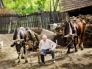 Județul unde românii au cel mic salariu ascunde o comoară neexploatată ascunsă în pământ și în aer - Foto: Sorin Onisor / Facebook