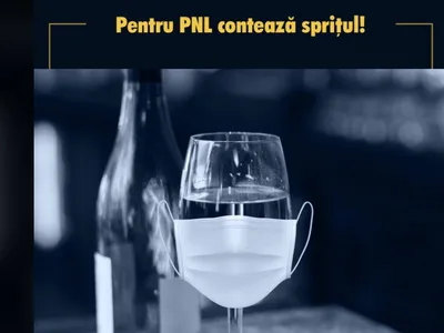 Contul oficial de Facebook al PSD/FOTO: facebook.com