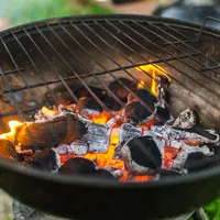 De ce micii și ceafa la grătar pot crește riscul de cancer? La ce substanțe nocive ne expunem? - Foto: Pexels.com (Imagine cu caracter ilustrativ)