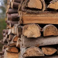 Lemne - Foto: Agrointel