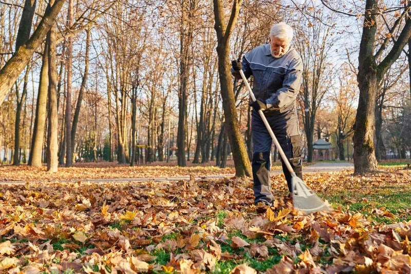 De ce să nu cureți grădina de frunze toamna. Care sunt beneficiile pentru sol - Foto: Freepik (Imagine cu rol ilustrativ)