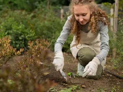Persoană care pune răsaduri în grădină - Foto: Freepik (Imagine cu rol ilustrativ)