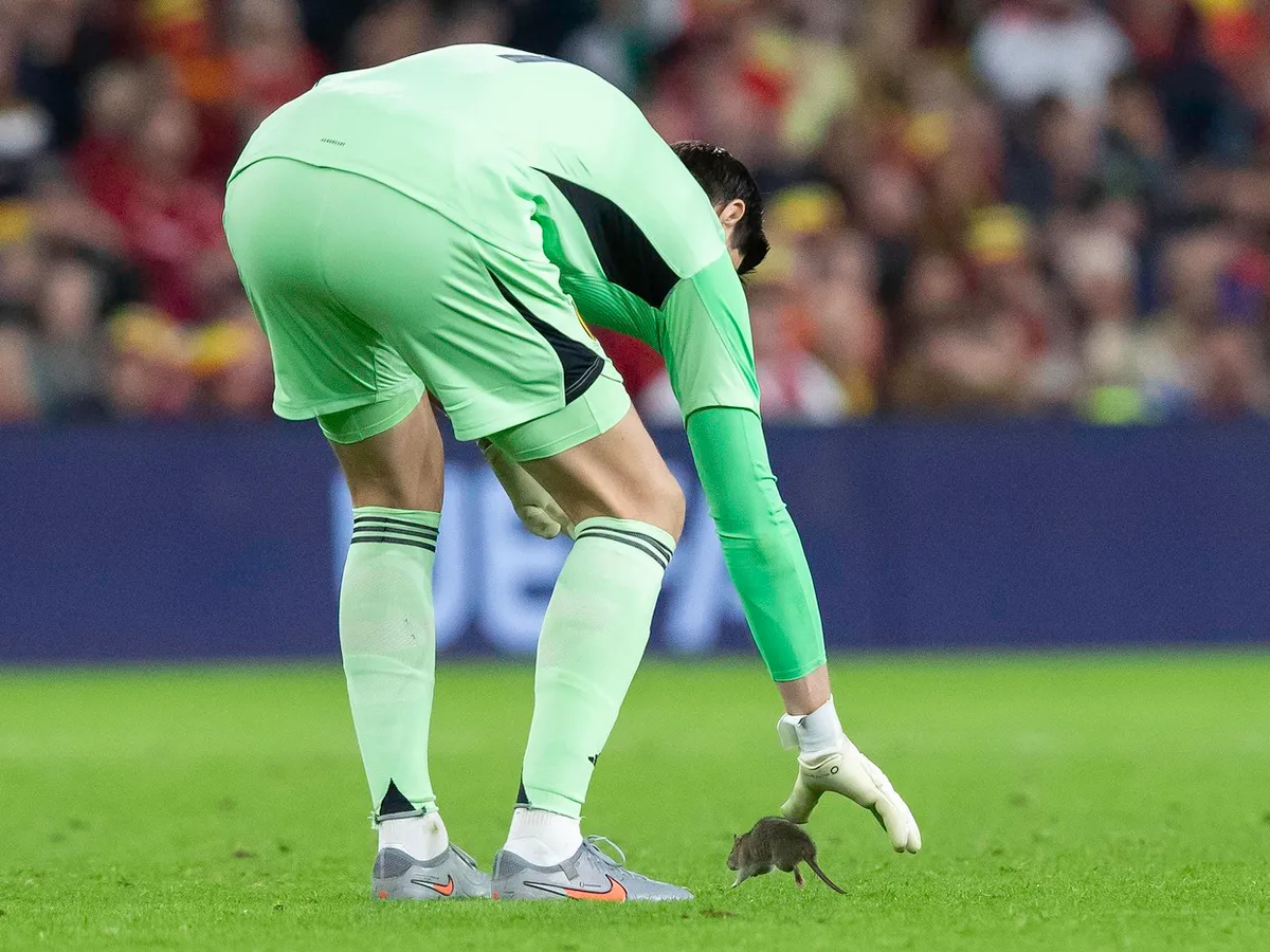 Portarul belgian Thibaut Courtois - Foto: Profimedia Images