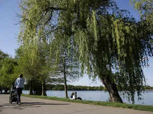 Descoperire macabră în lacul Herăstrău - Foto: INQUAM Photos/Octav Ganea - cu rol ilustrativ