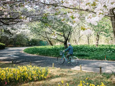 Primăvară Foto: Freepik (imagine cu rol ilustrativ)