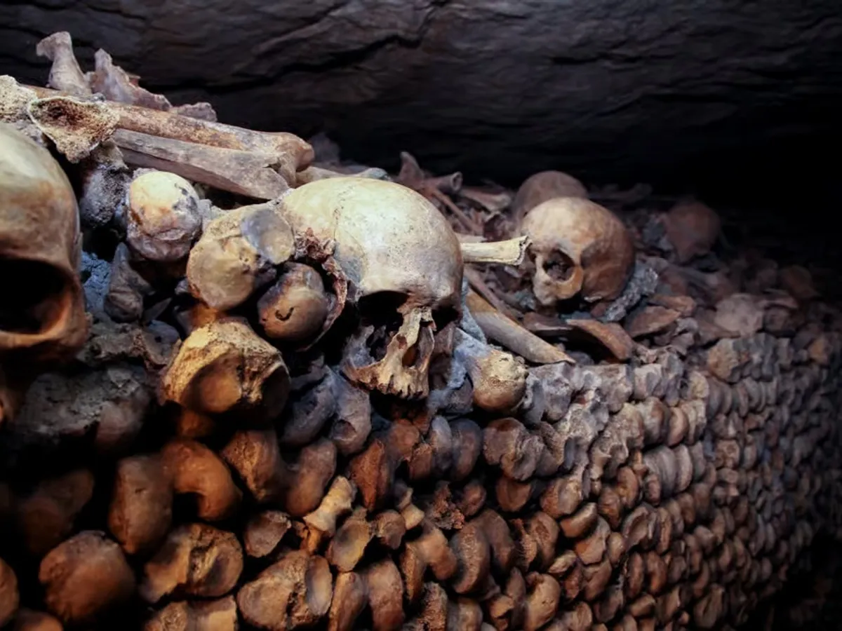 Catacombele din Paris - Foto: getyourguide.com