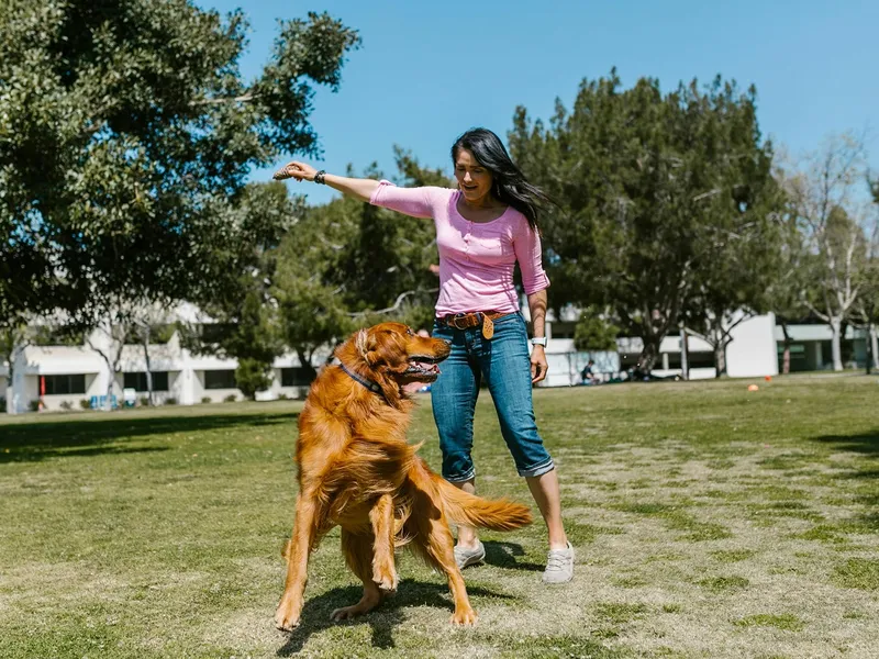 Gestul banal de 30 de minute care-ți prelungește viața. Vrei să trăiești mai bine, mai mult? Fă asta: FOTO - Pexels(imagine cu rol ilustrativ)