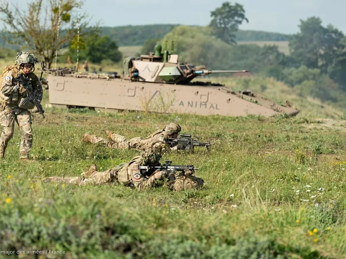 Armata - Foto: Facebook/ MApN (rol ilustrativ)