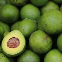 Alertă alimentară în România. Avocado toxic, retras de la vânzare de un lanț mare de magazine - Foto: Pixabay(imagine cu caracter ilustrativ)