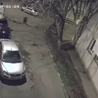 Incident grav în România! Femeie arestată după ce a dat foc la o mașină. Ce motiv a avut - Foto: captură camere supraveghere