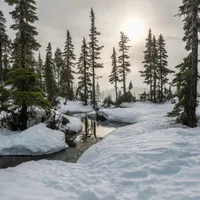 VREMEA Mercurul din termometre scade dramatic și avem temperaturi de până -7 grade. Valori sub medie Foto: Pexels (fotografie cu caracter ilustrativ)