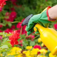 Ingredientul din bucătărie care îți scapă florile de dăunători. Este considerat un pesticid natural - Foto: Profimedia Images (imagine rol ilustrativ)