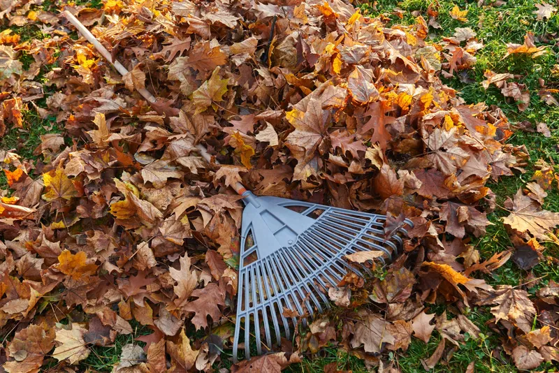 Frunze &icirc;n grădină toamna - Foto: Magnific.com (Imagine cu rol ilustrativ)