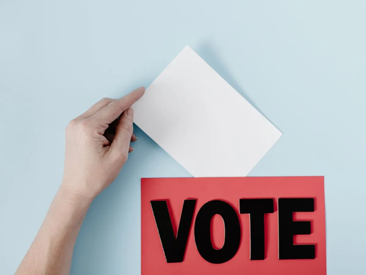 Vot foto: Pexels (imagine cu rol ilustrativ)