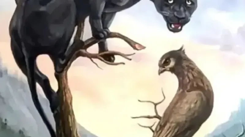 Ce vezi mai întâi Foto: MAARIV/TIKTOK