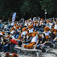 30 de urși bruni, în public;la deschiderea Astra Film Festival 2021