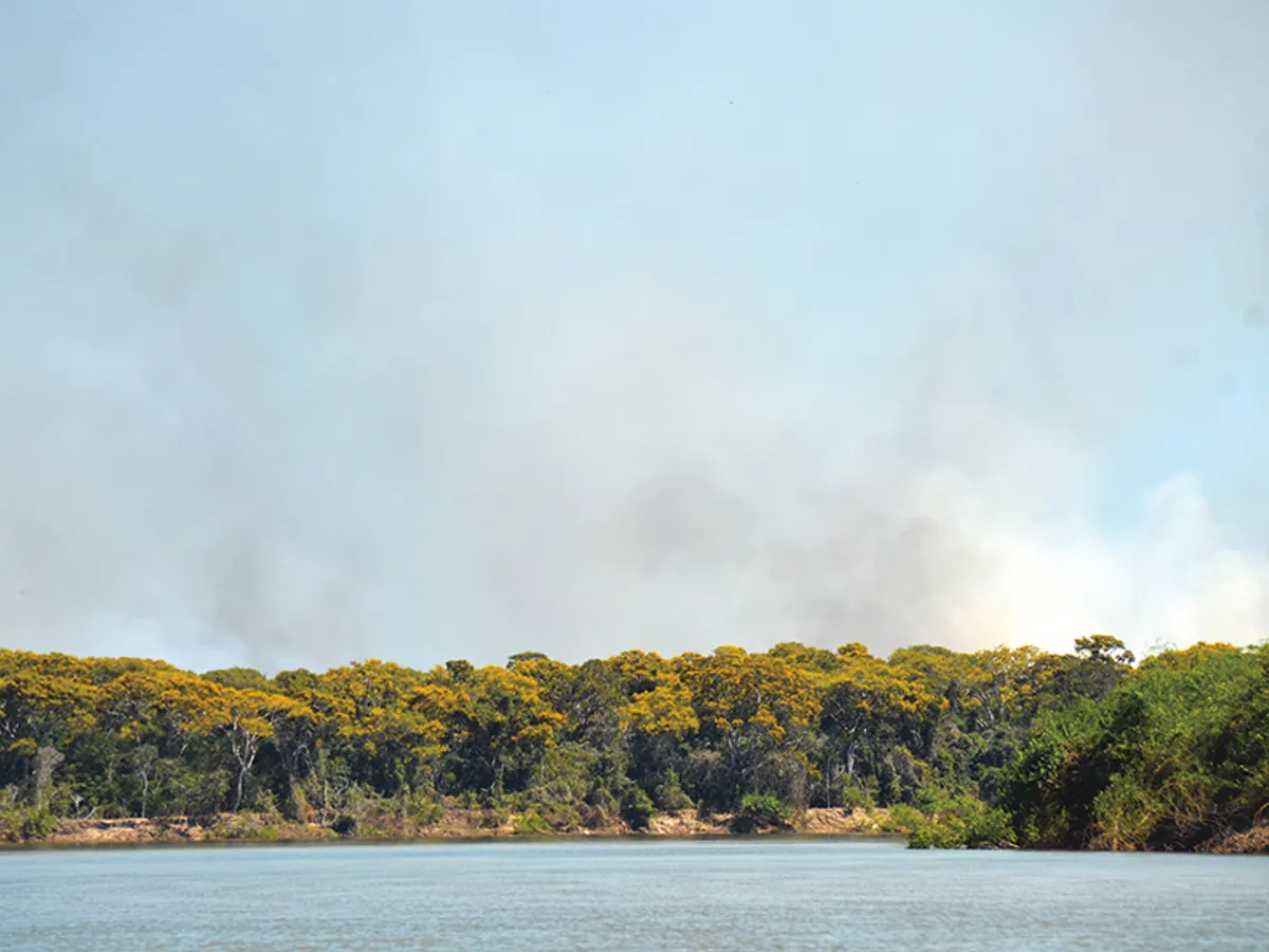 Incendiu în junglă braziliană