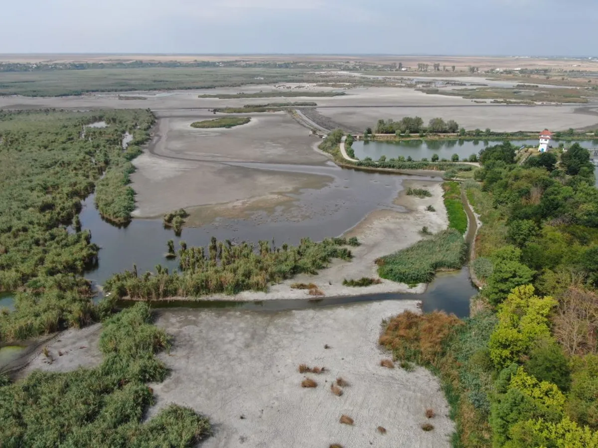 Secetă la Comana, în Delta Neajlovului, în judeţul Giurgiu - Foto: INQUAM PHOTOS/George Călin
