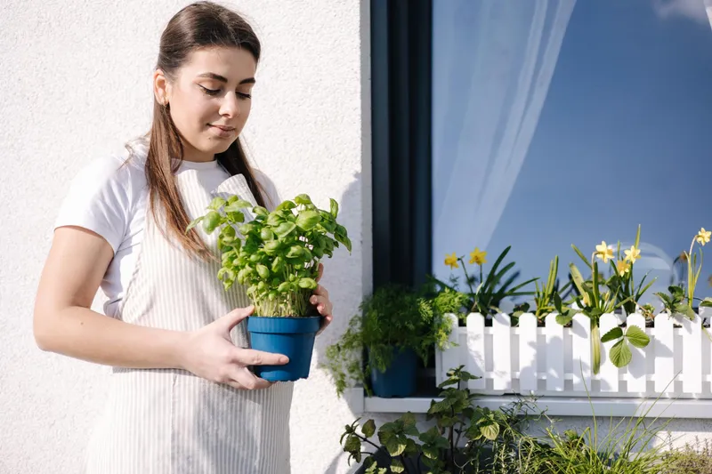 Femeie &icirc;n balcon cu o floare &icirc;n m&acirc;nă - Foto: Magnific.com (Imagine cu rol ilustrativ)