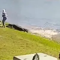 Momentul în care un aligator trage în apă o pensionară - Foto: The Sun / Captura video