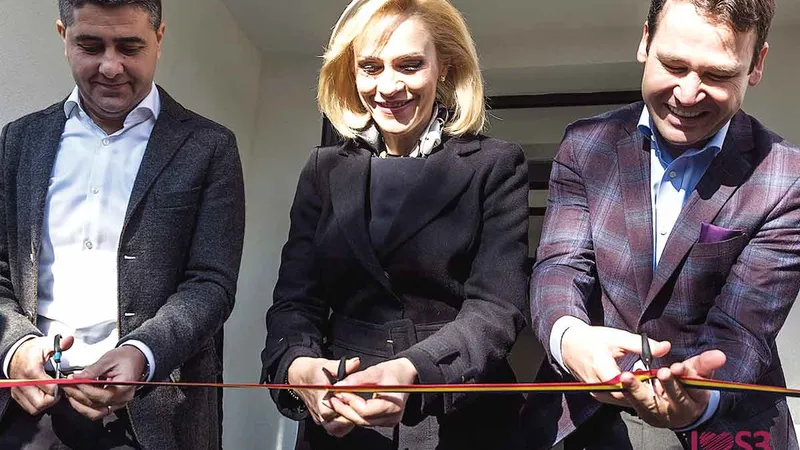 Firea nu mai e primar de 10 luni, dar 13 dintre companiile înființate de ea încă rezistă. Colegii ei din PSD care au rămas primari o duc bine merci