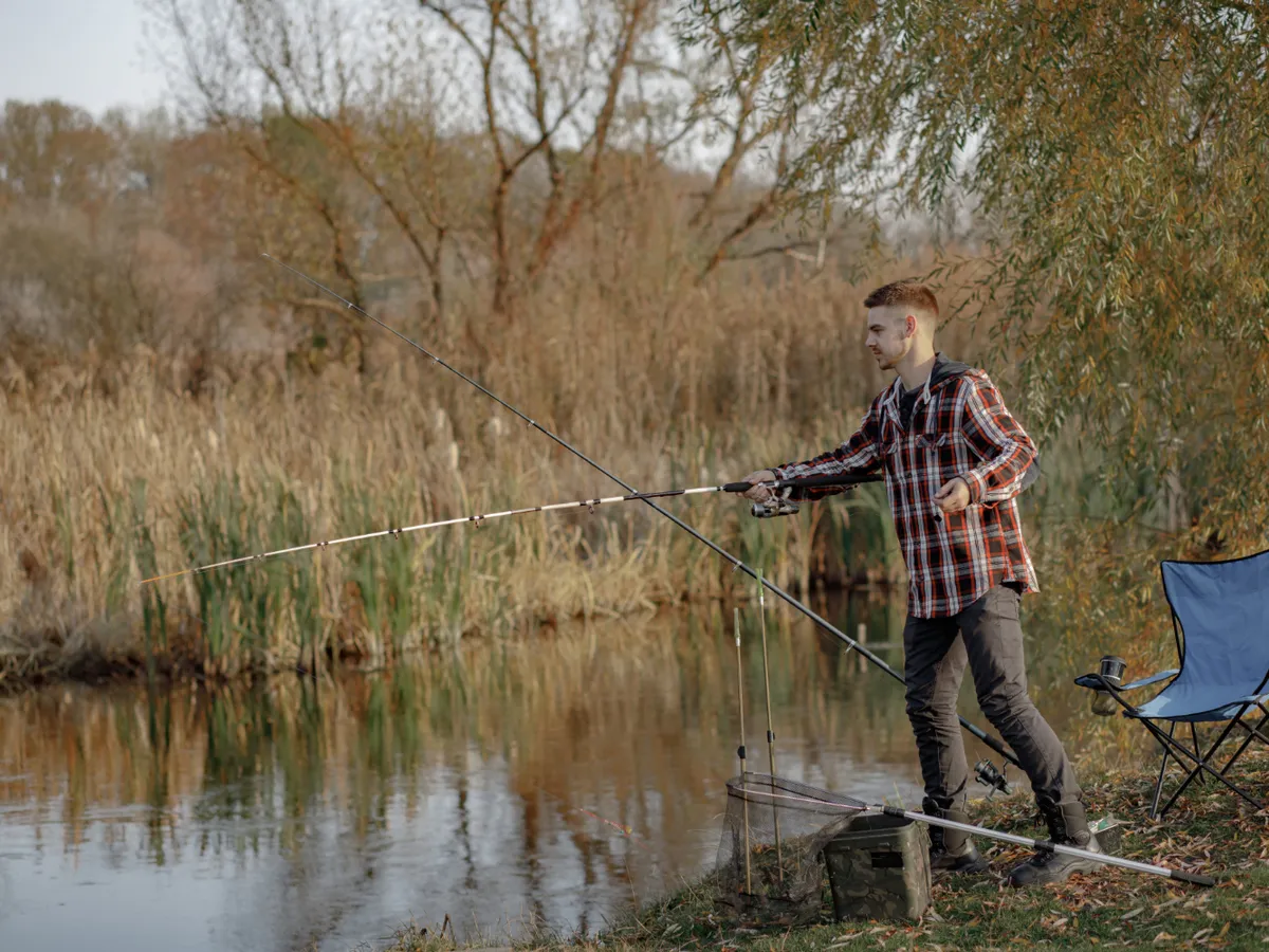 De ce se prind peștii răpitori mai repede toamna? Cum să pregătești momeala perfectă pentru pescuit